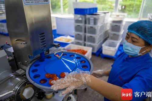 中秋月圓前奏曲 海口老牌食品廠馬力全開，烘出瓊島團圓味